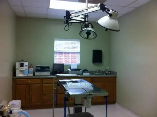 A large examination and surgery room at Houston Lake Animal Hospital. The room is clean and well lit with a large metal table in the center of the room, and a large light hanging from the ceiling.